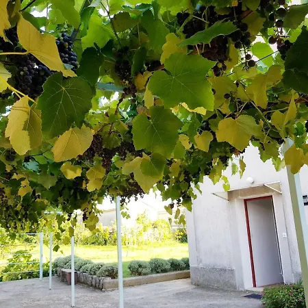 Subasic Apartamento Rubesi