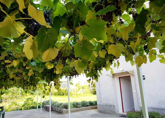 Subasic דירה Rubesi